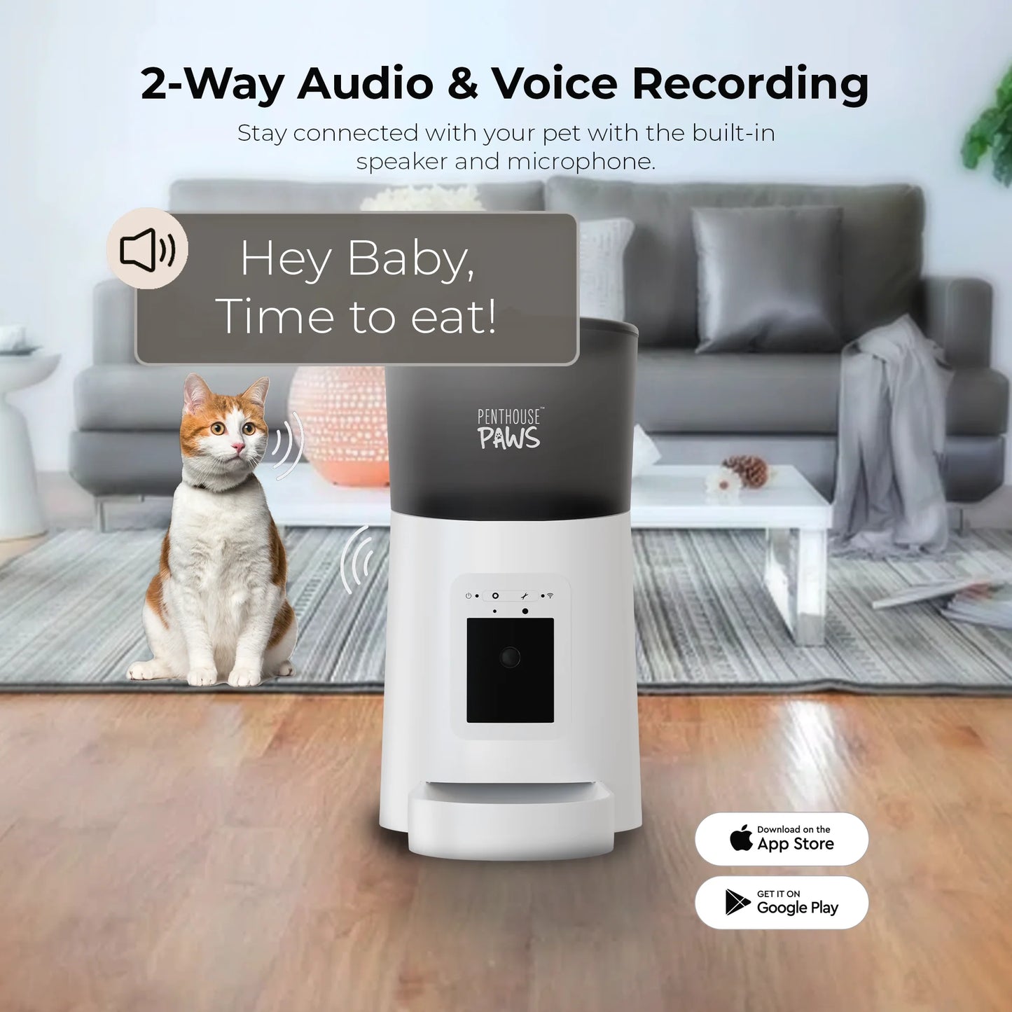 ® Smart Wifi Automatic Feeder for Cats & Dogs, 6L Black/Stainless